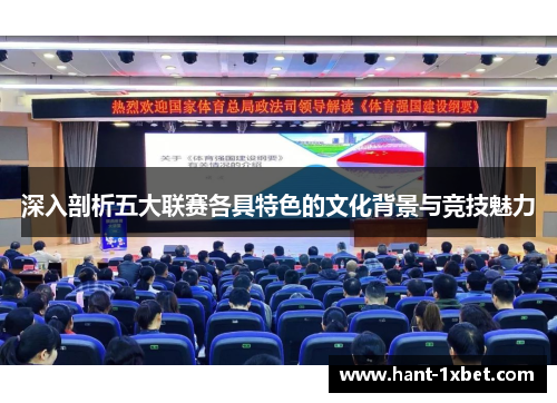 深入剖析五大联赛各具特色的文化背景与竞技魅力