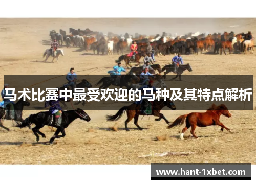 马术比赛中最受欢迎的马种及其特点解析