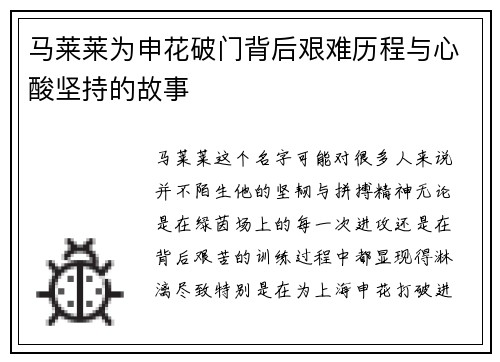 马莱莱为申花破门背后艰难历程与心酸坚持的故事