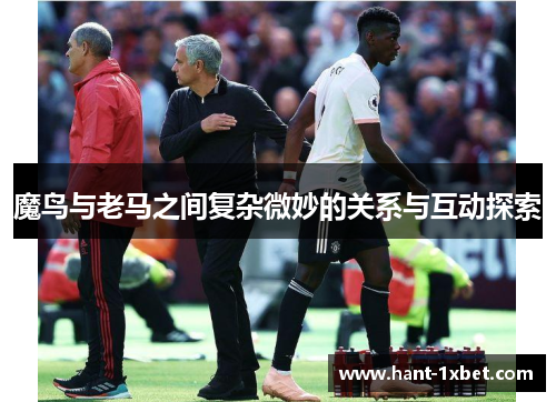 魔鸟与老马之间复杂微妙的关系与互动探索